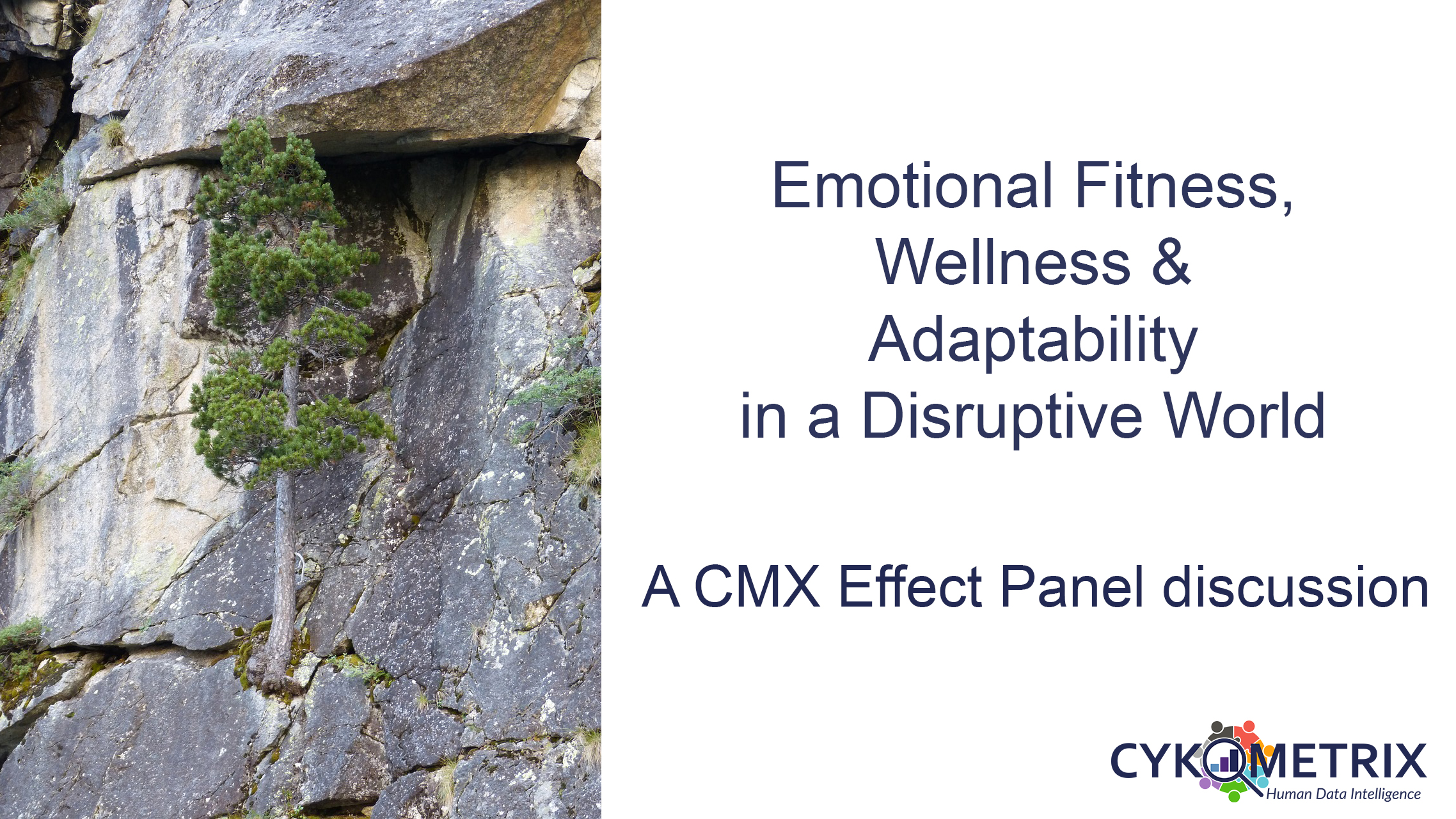 Emotional Fitness, Wellness & Adaptability in a Disruptive World